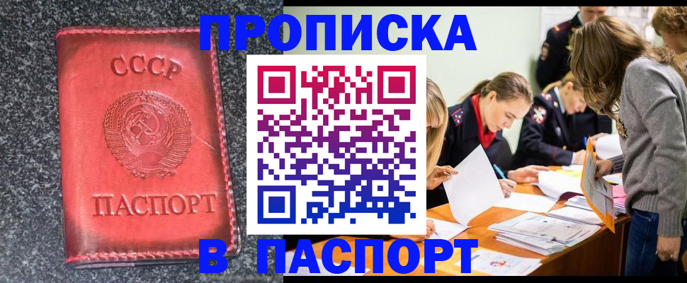 прописка для школы в Струнино